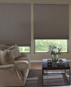 Energy Efficient Cellular Shades