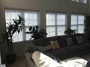 Motorized Blinds Bethesda MD